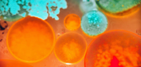 Hormonal Imbalance Treatment: Natural vs. Medical Solutions