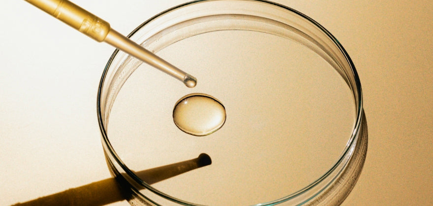 liquid on a lab testing tray on a reflective surface