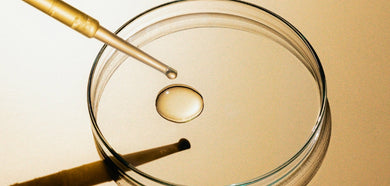 liquid on a lab testing tray on a reflective surface
