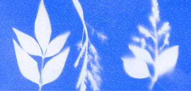 Stress, Fatigue & Hormonal Health: 4 Simple Ways to Reset Your Body