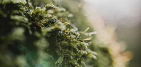 How Your Menstrual Cycle Affects Your Hormones: A Breakdown