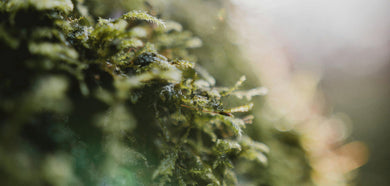 How Your Menstrual Cycle Affects Your Hormones: A Breakdown