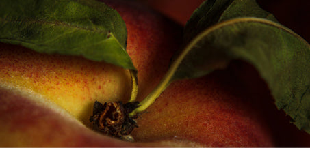 PCOS and Gut Health: Why Digestive Symptoms Are Part of the Picture