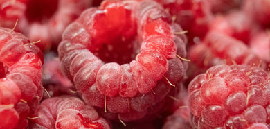 Close-up of frost-covered raspberries with a soft focus background