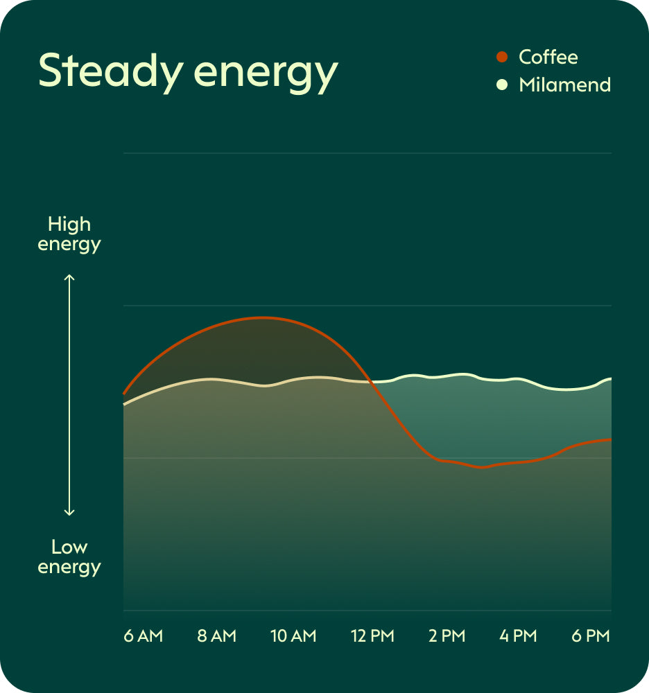 Energy that actually lasts