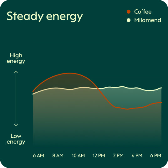 Energy that actually lasts